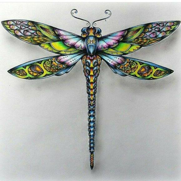 Meet your Posher, Rinda - Picture 1 of 1